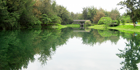 台東森林公園