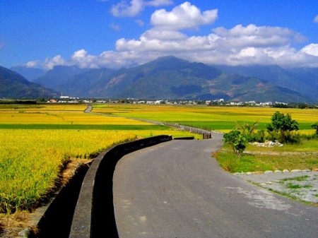 池上天堂路.伯朗大道