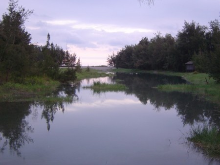 台東市琵琶湖