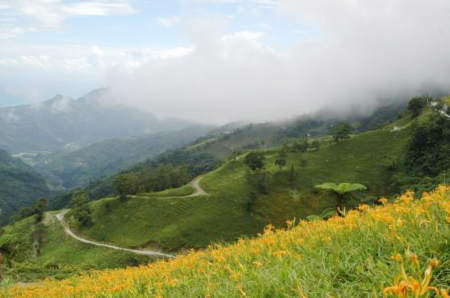 金針山