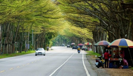 台9線花東縱谷公路 