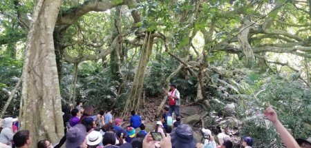 鸞山森林博物館