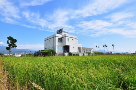 綠堤豐谷田園民宿