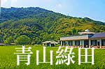 青山綠田~池上關山民宿